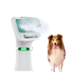 Grooming spazzola dell'animale domestico per il gatto del cane 300W dog grooming brush nuovo disegno pet grooming asciugatrice