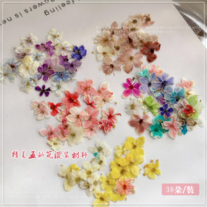<span class=keywords><strong>Flores</strong></span> Secas Naturales de la Serie TSZS Monet Garden <span class=keywords><strong>para</strong></span> Decoración de <span class=keywords><strong>Uñas</strong></span>, Pequeños Materiales Florales de Cinco Pétalos en Colores Mixtos <span class=keywords><strong>para</strong></span> Manualidades - Product Image 2