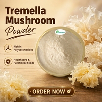 100% natuurlijk Coprinus Comatus poeder, schimmel-ingrediënt, Coprinus Comatus extractpoeder