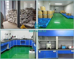 B.C.I kaynağı sıcak satış toplu saf 90% 95% kondroitin sülfat tozu fiyat iyi - Product Image 6