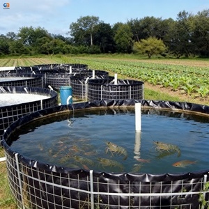 แผ่นรองบ่อ<span class=keywords><strong>ปลา</strong></span>ทิลาเปีย HDPE Geomembrane หนา 1 มม. สำหรับขาย - Product Image 3