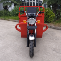 Tricycle de livraison à essence à 3 roues avec caisse en acier, véhicule utilitaire à moteur essence pour marché et entrepôt