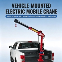 Grue de voiture hydraulique personnalisée 1 tonne 12V, petite grue à flèche télécommandée pour camion