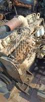 Moteur diesel d'occasion original de haute qualité 6C8.3 pour l'assemblage de moteur de machines de construction Cummins à bas prix en vente