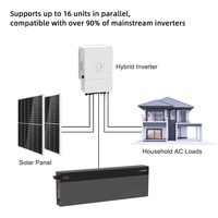 Sistema de Almacenamiento de Energía Solar para el Hogar Powergo PL Stock Split BYD Blade Battery IP65 CAN, para Paquete de Baterías Lifepo4 de 51.2v 130ah 6.6kwh, Montaje en Pared