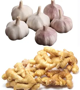 China New Season Fresh Vegetable Garlic Onion Potato