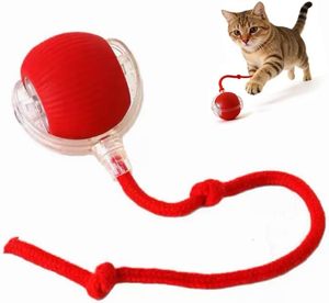 Balle interactive électrique intelligente pour chat, avec appels d'oiseaux, jouet roulant pour animaux de compagnie, jouets de mouvement interactifs pour animaux, en promotion - Product Image 1