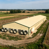 Poulailler préfabriqué en acier haute résistance pour l'élevage de poulets de chair avec ventilation intégrée pour une utilisation à long terme dans l'industrie zootechnique