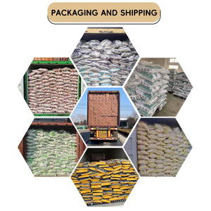 Échantillon Gratuit de Haute Qualité 10 L à Prix Abordable Litière <span class=keywords><strong>pour</strong></span> Chat en Bentonite Sphérique à Fort Agglomérage Respectueuse de l'Environnement - Product Image 6