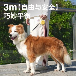 Correa Retráctil Automática para Perros con Mecanismo de Bloqueo para Perros Pequeños y Grandes, Accesorios para Mascotas, Material ABS - Product Image 2