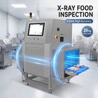 Detector de Objetos Extraños por Rayos X para Alimentos a Granel, Alta Precisión, Acero Inoxidable, Sistema de Inspección Industrial por Rayos X para Empaques a Granel