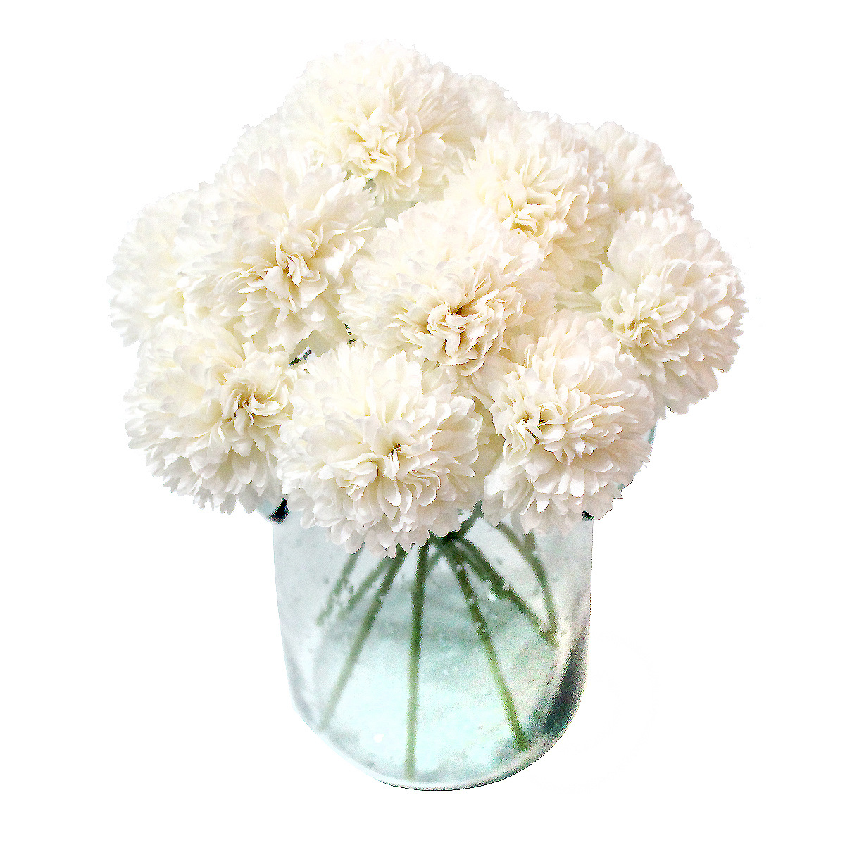 1 white