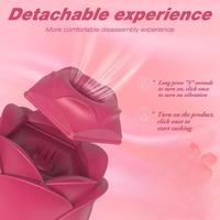 S-HANDE Vente en gros de vibrateurs roses pour stimulation du clitoris et du vagin, jouets sexuels pour femmes
