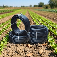 Tuyau flexible de jardin REHOME 1 pouce 2 pouces, tuyau d'eau pneumatique, tuyau de drainage 50 mm en polyéthylène noir, tuyau enroulé en PEHD