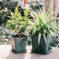 Vente directe d'usine racine carrée balcon plantation de fleurs et de légumes Pots de fleurs en plastique de grande taille pour plantes
