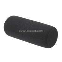 Livraison Rapide – Cache-vent en Mousse de 12 cm pour Microphones JVC et Canon sans Fil, Idéal pour la Conférence et la Photographie