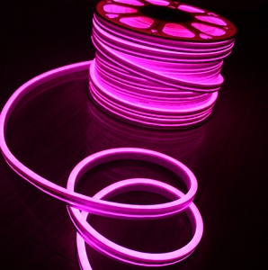 Silicone PVC Led Neon Flex Dải vuông RGB 12V Neon Băng cầu vồng đèn 11x19mm RGB Neon bóng đèn & ống - Product Image 1