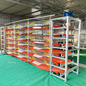 Automatische Kweekkwartelkooi Voor Eierproductie Kwartelkooien Voor Groothandel - Product Image 5