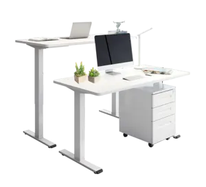 EFU-E6 Ergonomic Lifting System Standing Desk Electric Table Adjustable Height Machinery For Office