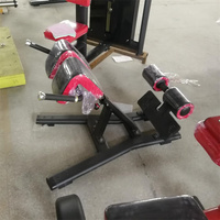 Appareil de musculation pour l'extension dorsale, hyperextension FF45, équipement de fitness pour salle de sport commerciale et à domicile, machine d'hyperextension de luxe pour le sport