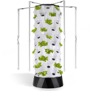 Système de culture hydroponique verticale, tours hydroponiques, éclairage LED pour la culture de la laitue - Product Image 2