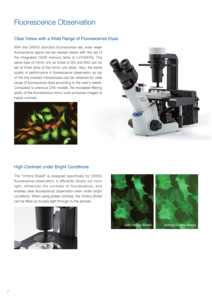 Microscopio Óptico Invertido Digital de Alta Calidad Olympus CKX53 para Cultivo Celular a Buen Precio - Product Image 6