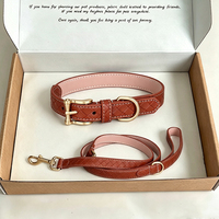 Collier pour chien en cuir PU tressé élégant et personnalisé avec laisse assortie, doublure douce, quincaillerie dorée, ensemble de promenade réglable pour animaux de compagnie pour le quotidien