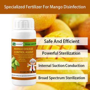 Engrais spécialisé pour la désinfection des manguiers, engrais organique soluble dans l'eau, engrais pour manguiers - Product Image 4