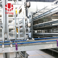 Cage à poulets de chair de type H galvanisée à chaud, 3 niveaux, avec plancher à lattes en plastique, alimentation automatique et élimination du fumier