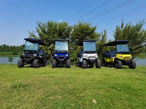 Voiture de golf alimentée par batterie au lithium la plus basse 2 4 personnes pour la <span class=keywords><strong>promotion</strong></span> et la vente directement de l'usine chinoise - Product Image 2