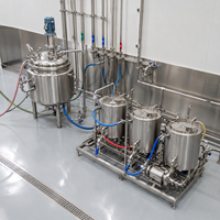 Cuve de mélange GMP SUS316L, réacteur pharmaceutique avec agitateur chauffant et système CIP SIP