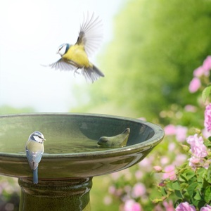 Support de bain en céramique verte, grand oiseau, support pour le <span class=keywords><strong>jardin</strong></span> - Product Image 6
