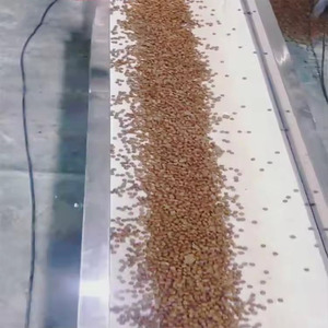 NUEVA Solución Llave en Mano para la Producción de Alimentos para Mascotas 1200 con Motor, PLC, Bomba y Engranaje para Alimentos para Perros - Product Image 5