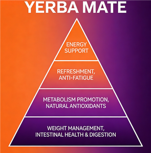 Cápsulas de Suplemento Herbal de Yerba <span class=keywords><strong>Mate</strong></span> |   60 Unidades |   55 mg de cafeína |   Fórmula Avanzada Sin Humo para Apoyo Energético y de Vitalidad - Product Image 4