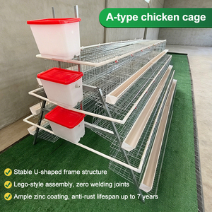 Jaula Automática para Pollos Tipo 3 de 5 Niveles y 90 Aves, 1950x2000x1500mm, Equipo Avícola Galvanizado - Product Image 4
