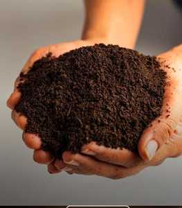 Turba de Coco Natural Suelta, Alta Retención de Agua, Biodegradable, Ecológica, Ligera, en Bloques, para Macetas y Jardín - Product Image 4