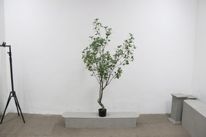 Nouvelle simulation moderne de pantalon Pieris artificiel de 8 pieds de haut pour la décoration intérieure de la maison arbre artificiel de plante en pot <span class=keywords><strong>japonais</strong></span> - Product Image 2