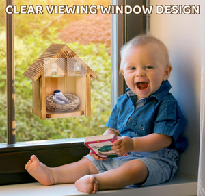 Nichoir en bois moderne et naturel pour l'intérieur et l'extérieur, avec fenêtres transparentes pour observer l'intérieur du nichoir - Product Image 5