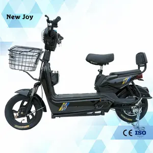 Paige NewFashion China Factory Steel Frame LCD Display Electric Bike Beauty appearance 48v20ah 6pipes noiseless controller ebike