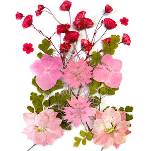 Vente en gros de fleurs et plantes pressées mélangées sèches pour l'artisanat en résine Art naturel vraies fleurs séchées - Product Image 4
