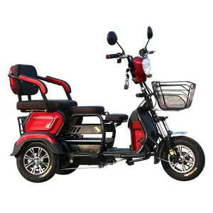 Adult Electric Bicycle Tricycle City Moped Park Commuting Vehicle