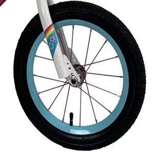 Vélos pour filles et enfants 2026, nouveau design, cadre en acier, frein arrière, pédale ordinaire, 4 roues, vitesse unique, pas cher - Product Image 4