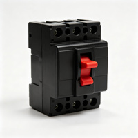 250A 2P 10kA DC 1000V Thermal-Magnetic MCCB Pemutus Sirkuit Cetak Cepat 50/60Hz PV Solar