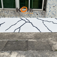 Dalles légères amovibles en acrylique massif 3660x760x12mm pour la construction et la décoration intérieure des stands de foire commerciale