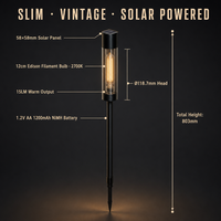 Lampe solaire vintage à filament Edison pour jardin, 12 cm, 2700K, 15LM, tube transparent, pour pelouse, parterre de fleurs, aménagement paysager extérieur
