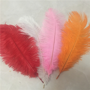 Plumes d'autruche artificielles blanches et colorées - Product Image 1