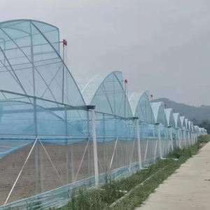 Serre Hydroponique Agricole <span class=keywords><strong>Superferme</strong></span> Type Dents de Scie à Vendre - Product Image 4