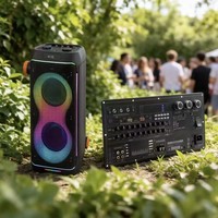 Carte d'amplificateur haute puissance avec processeur DSP intégré HL-A1025 avec Bluetooth 5.0