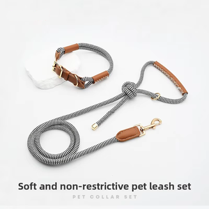 Ensemble collier et laisse pour <span class=keywords><strong>chien</strong></span> <span class=keywords><strong>BioThane</strong></span>, cuir végétalien, imperméable, inodore, durable et résistant pour grands chiens - Product Image 1