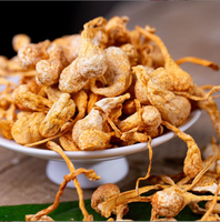Vente en gros de Cordyceps Militaris pure sporehead jaune doré épices séchées herbe crue en bâton entier